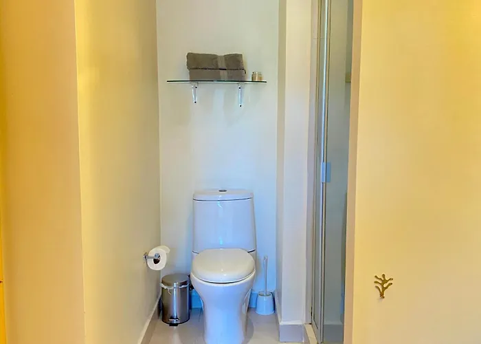 Apartment B104 - 1br - 1bth Mexico City