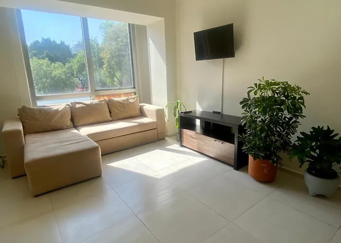 B104 - 1br - 1bth Apartment Mexico City